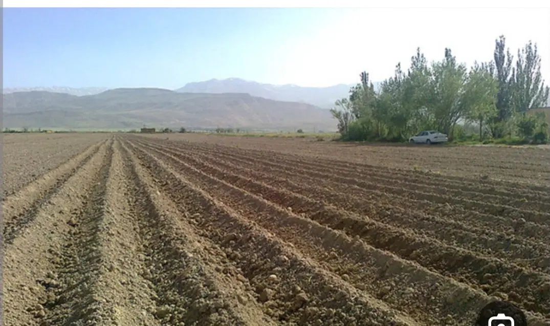 زمین باغی و کشاورزی