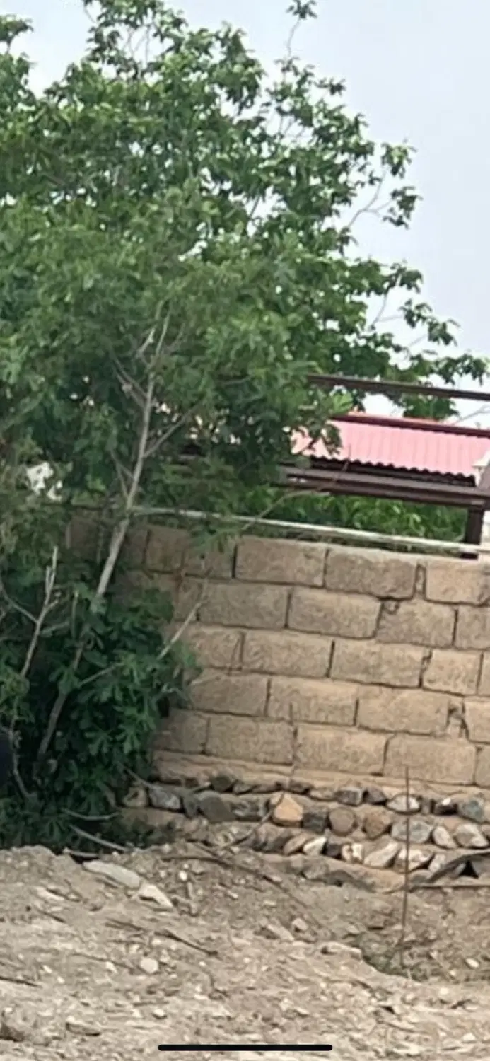 زمین ویلایی سیرچ