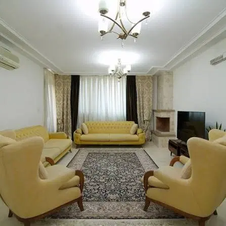 جایگزین در خابگاه