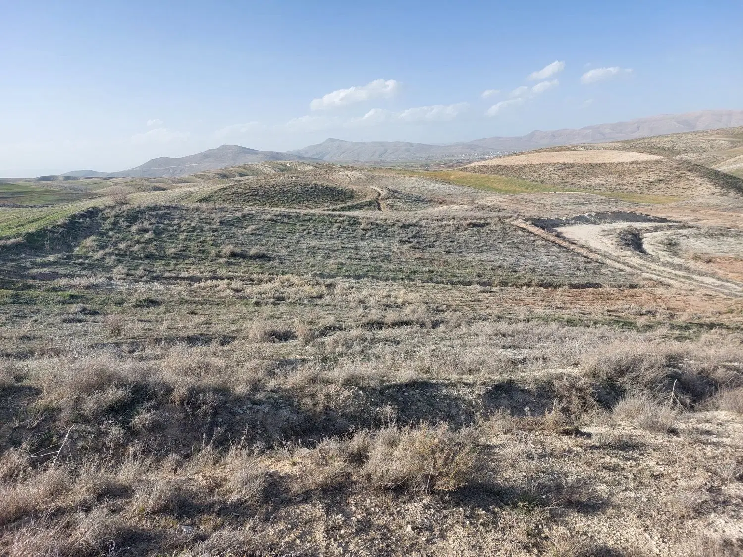 زمین باغ شهری