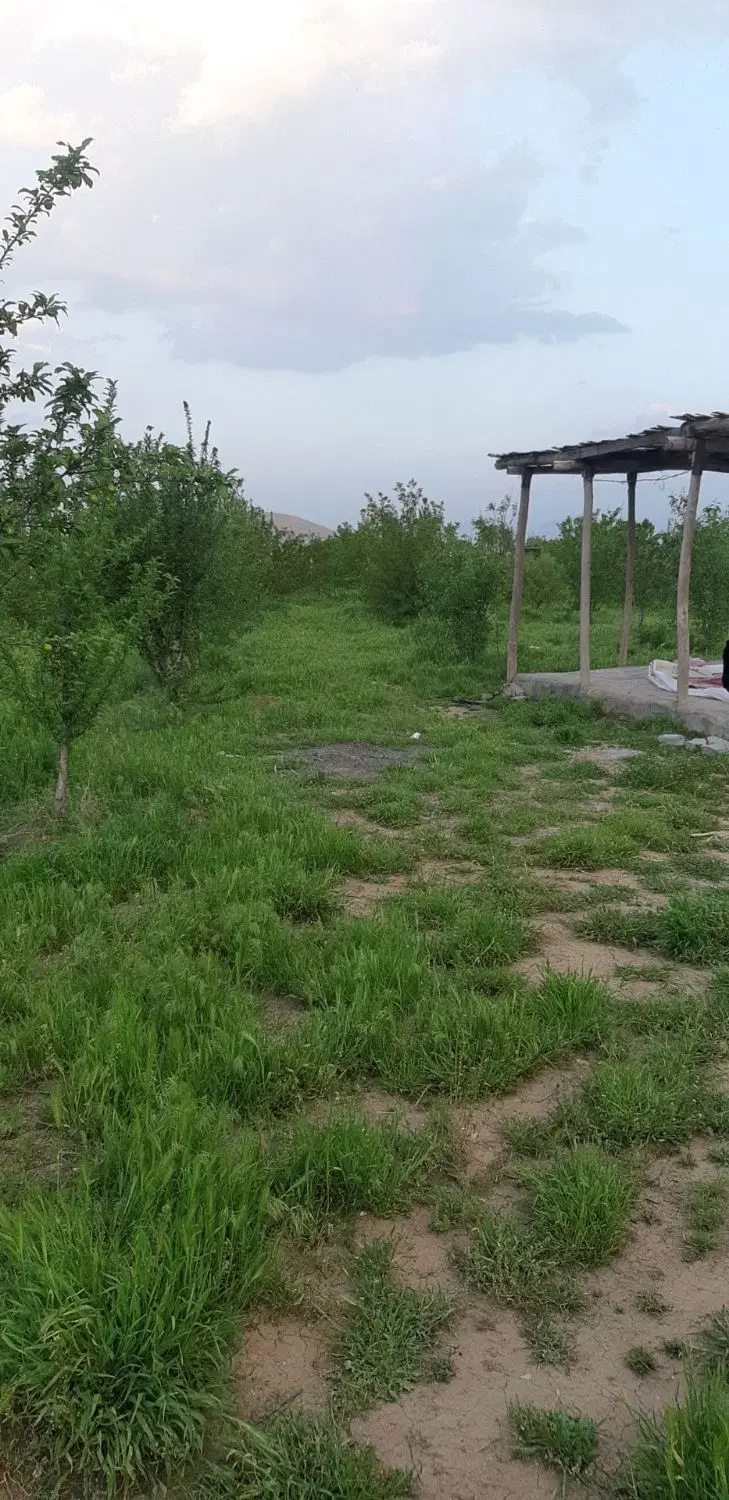 باغ هزارمتر