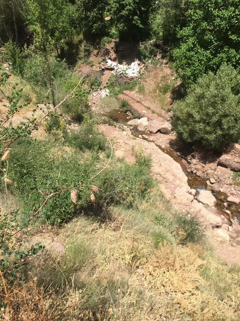 باغ،زمین واقع در جاده چالوس فوری