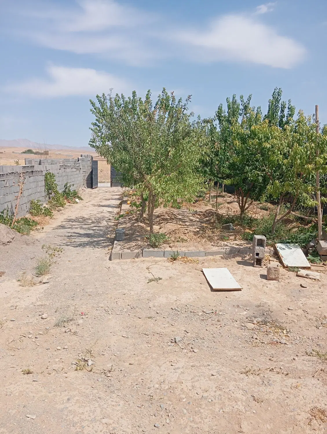 زمین