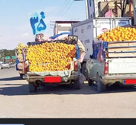 اجاره مجوز میوه فروشی کنار خیابون