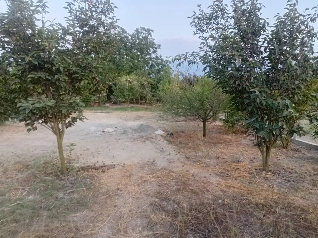 باغ