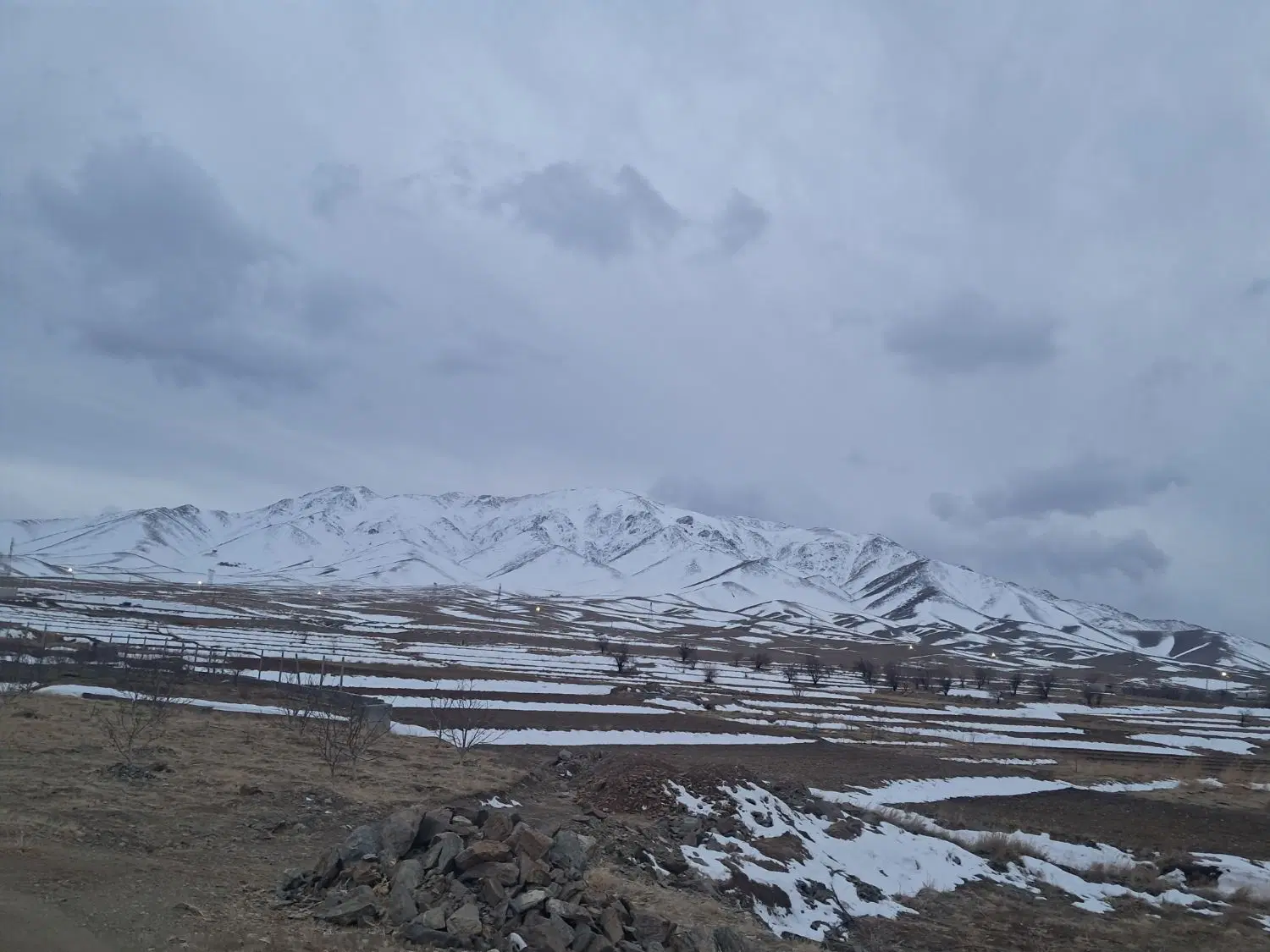 مجوز دامداری صنعتی