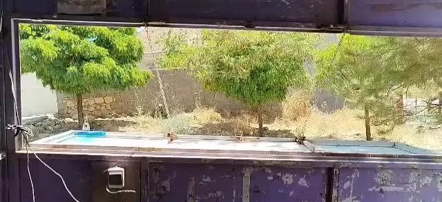 دکه سوپر مارکت