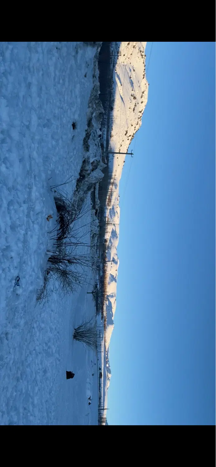 زمین محمداباد ساردو