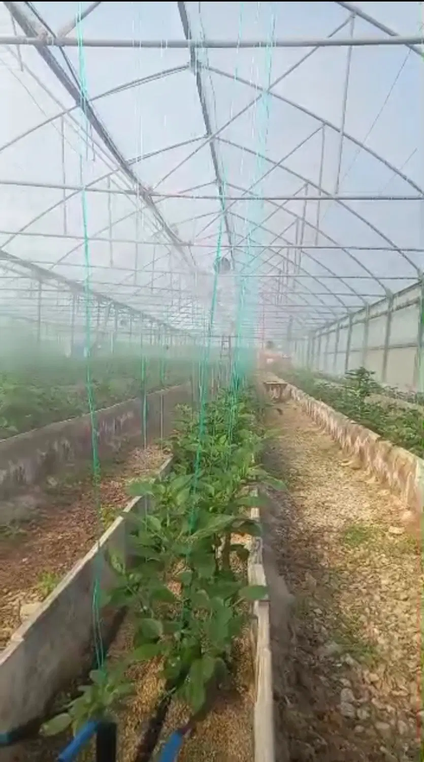 رهن و اجاره گلخانه هیدروپونیک ۴۰۰۰ متری