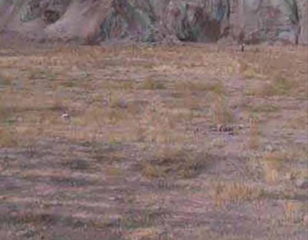 زمین امیر کبیر 3