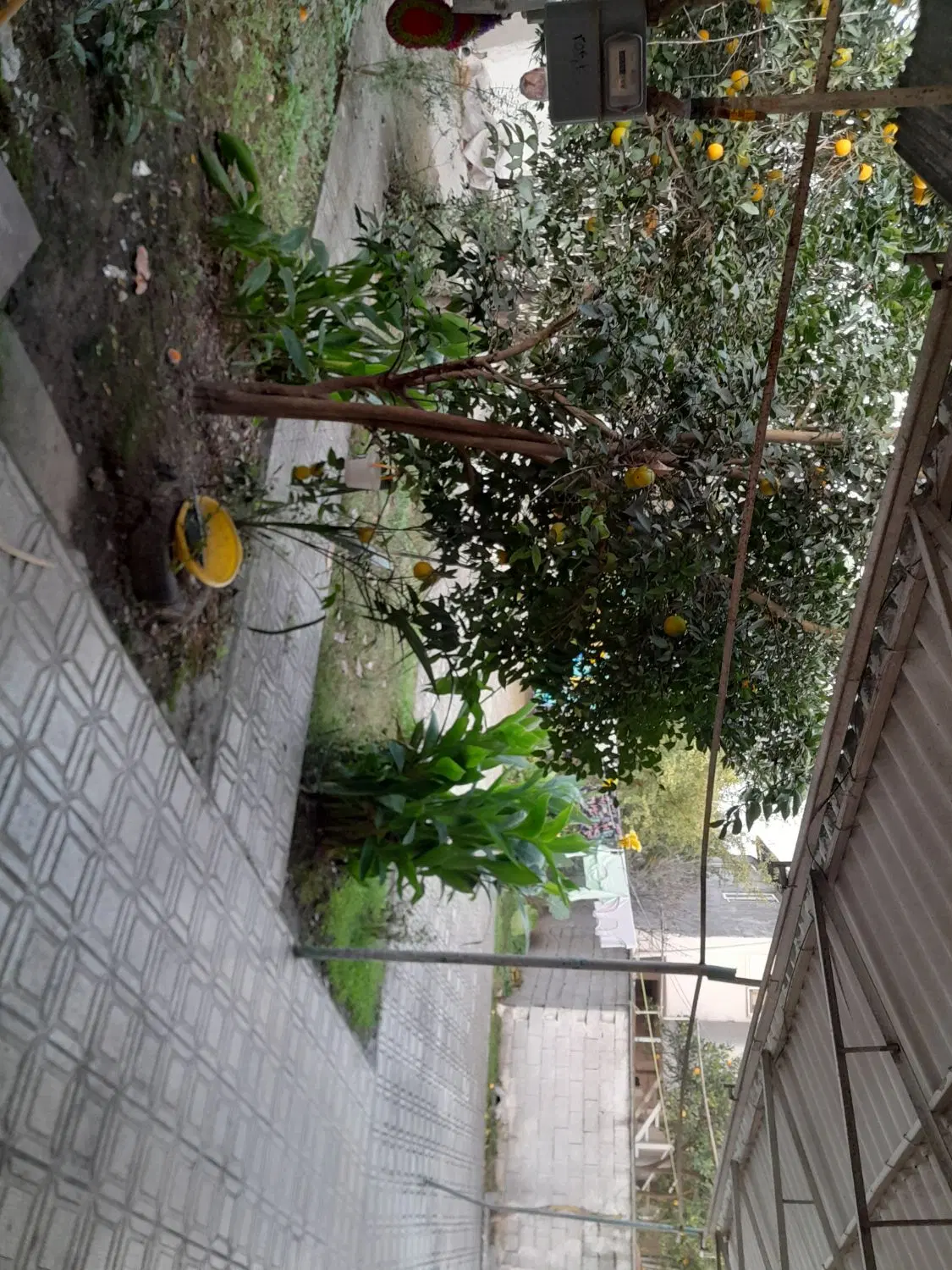 فروش زمین با خانه کلنگی