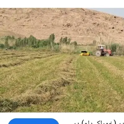 زمین دیم کنار رودخانه مناسب باغ