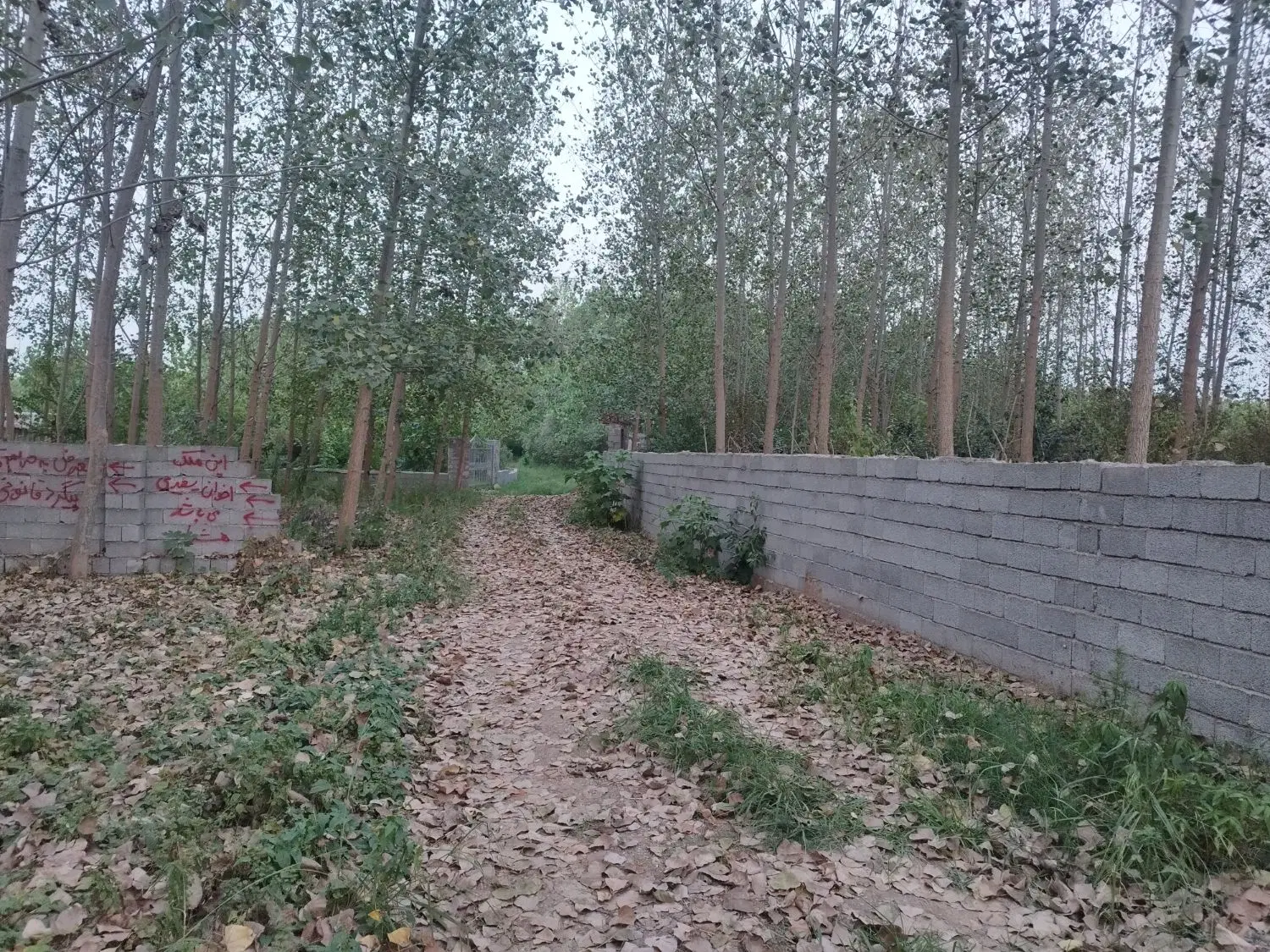 زمین