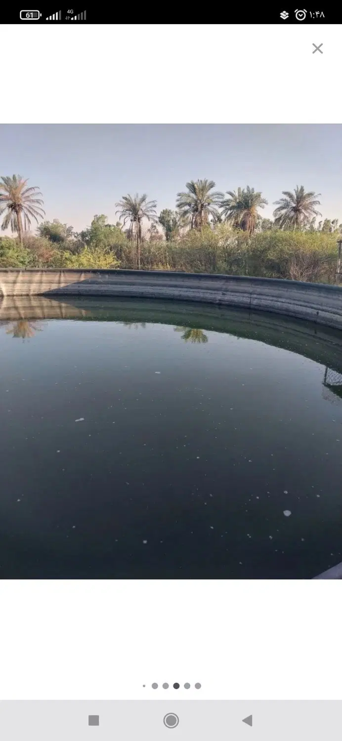 حوضچه ماهی