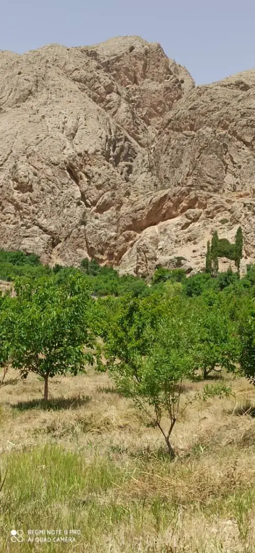 باغ فیروزکوه
