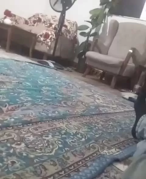 فروش‌خانه‌‌زمین‌۲۵۰زیر‌بنا۸۰متر‌‌سقف‌تیرچه‌یونلت