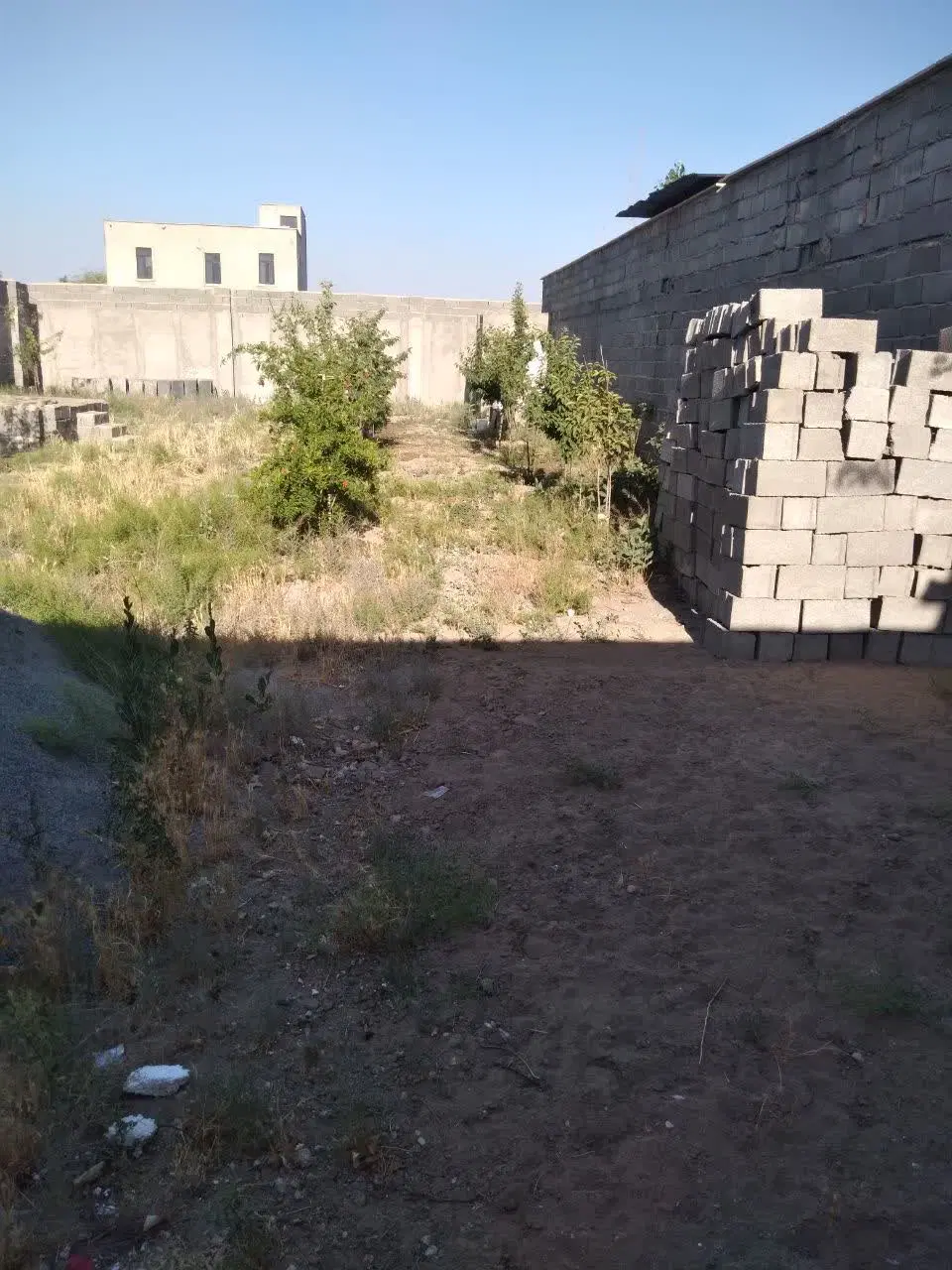 فروش باغچه