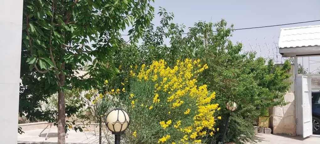 فروش زمین تجاری مسکونی