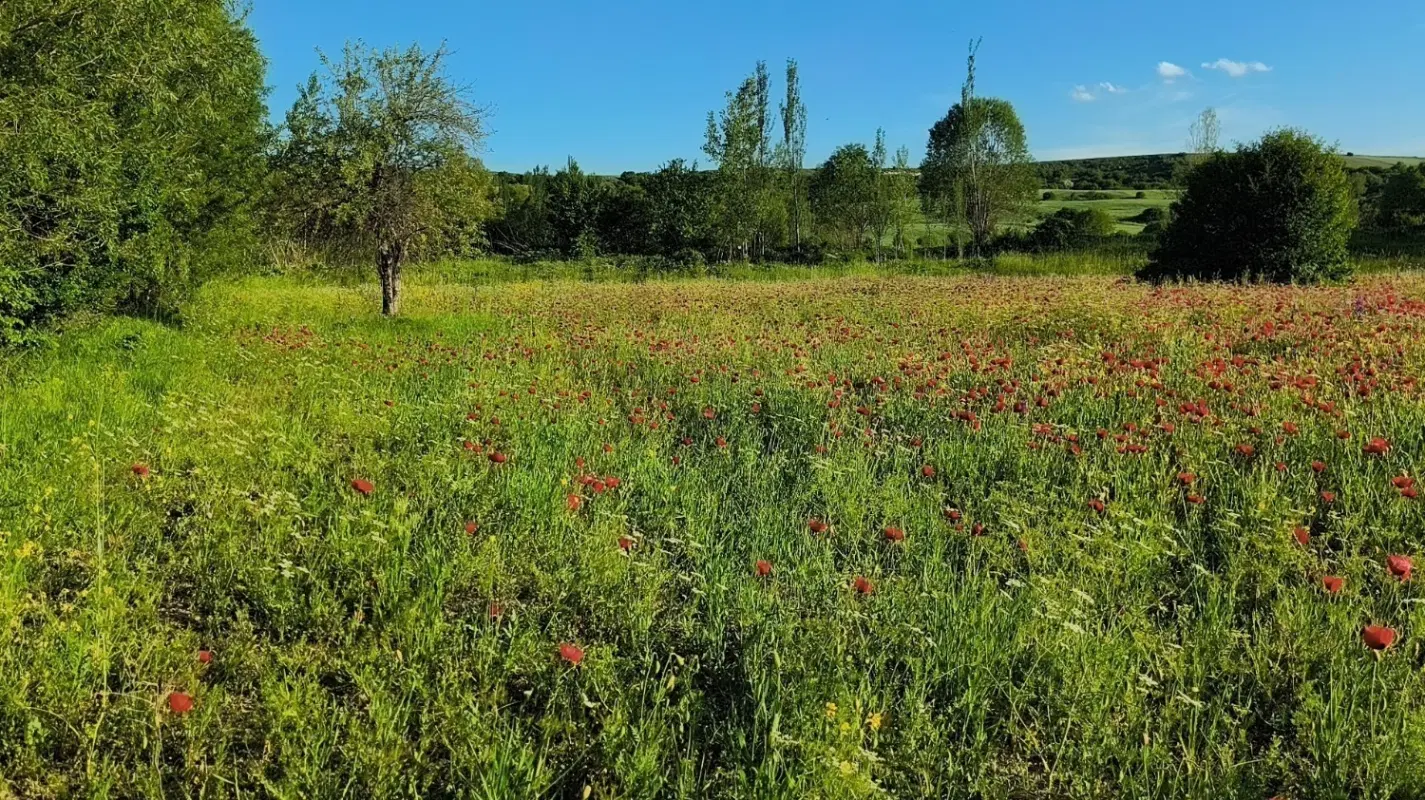 زمین مناسب شهرک سازی،بومگردی و هتل سازی