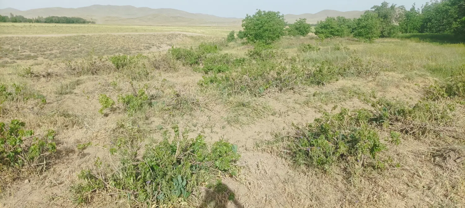 فروش باغ در روستای یونجی