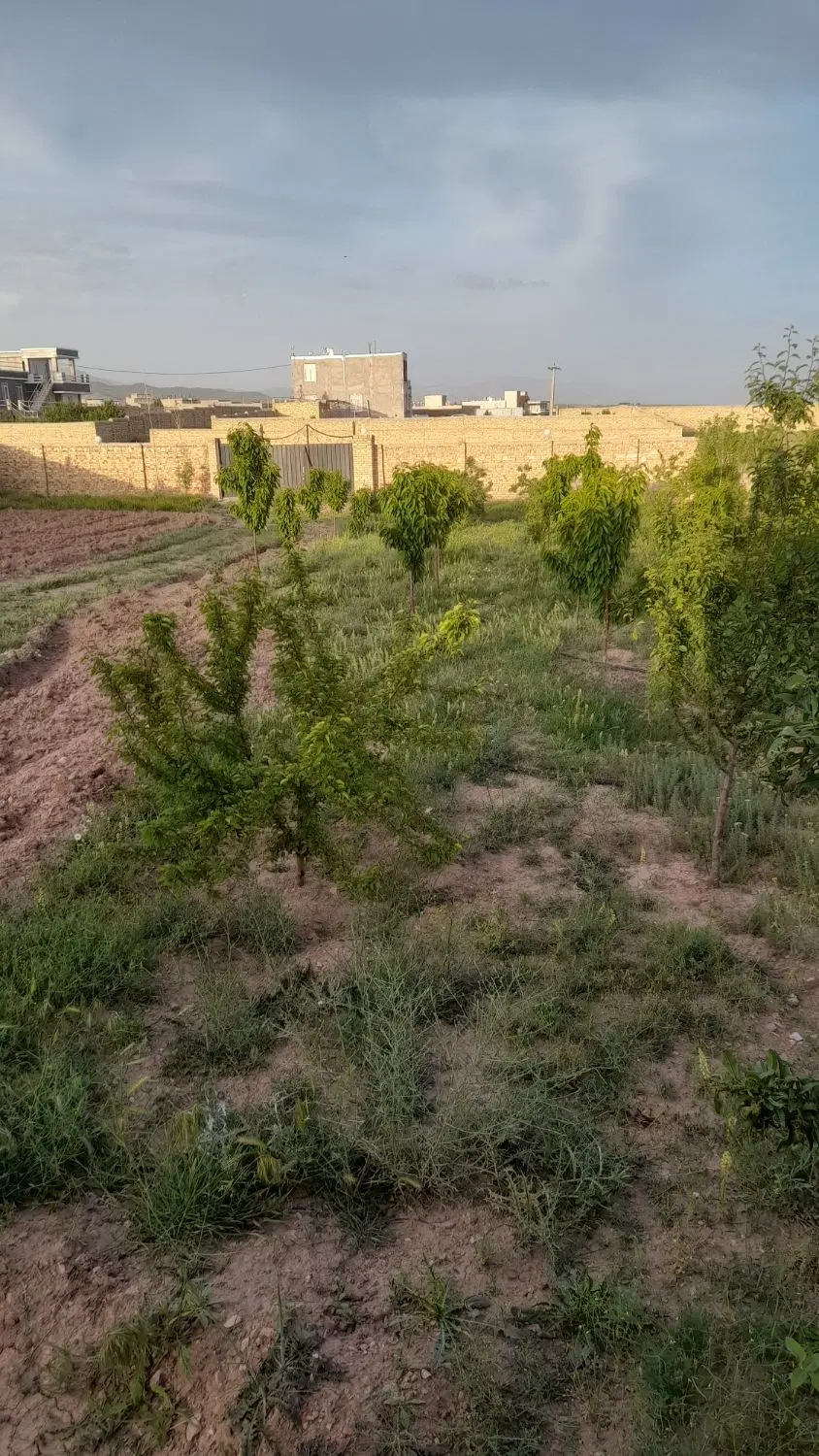 زمین قزوین ۱۵۰۰متری ویلایی چهاردیواری مسکونی