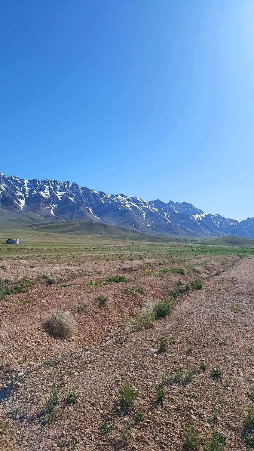 فروش زمین باغ