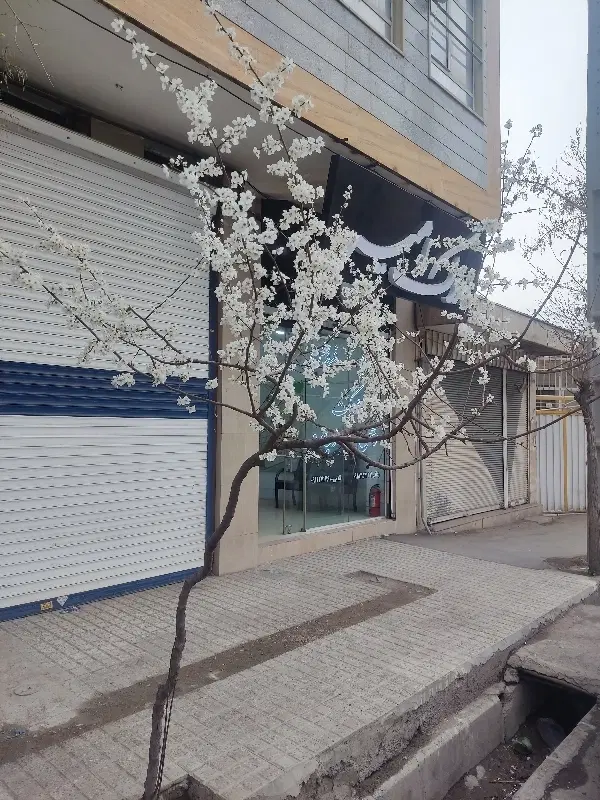 اجاره آپارتمان  در بهترین لوکیشن