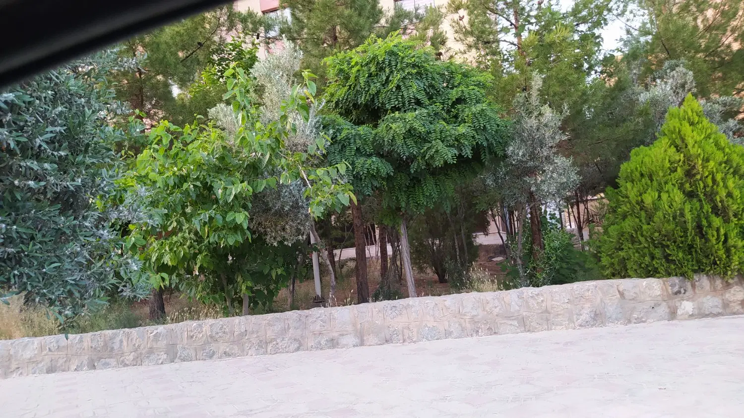 کلنگی ۱۰۰۰ متری مشتاق بازارچه