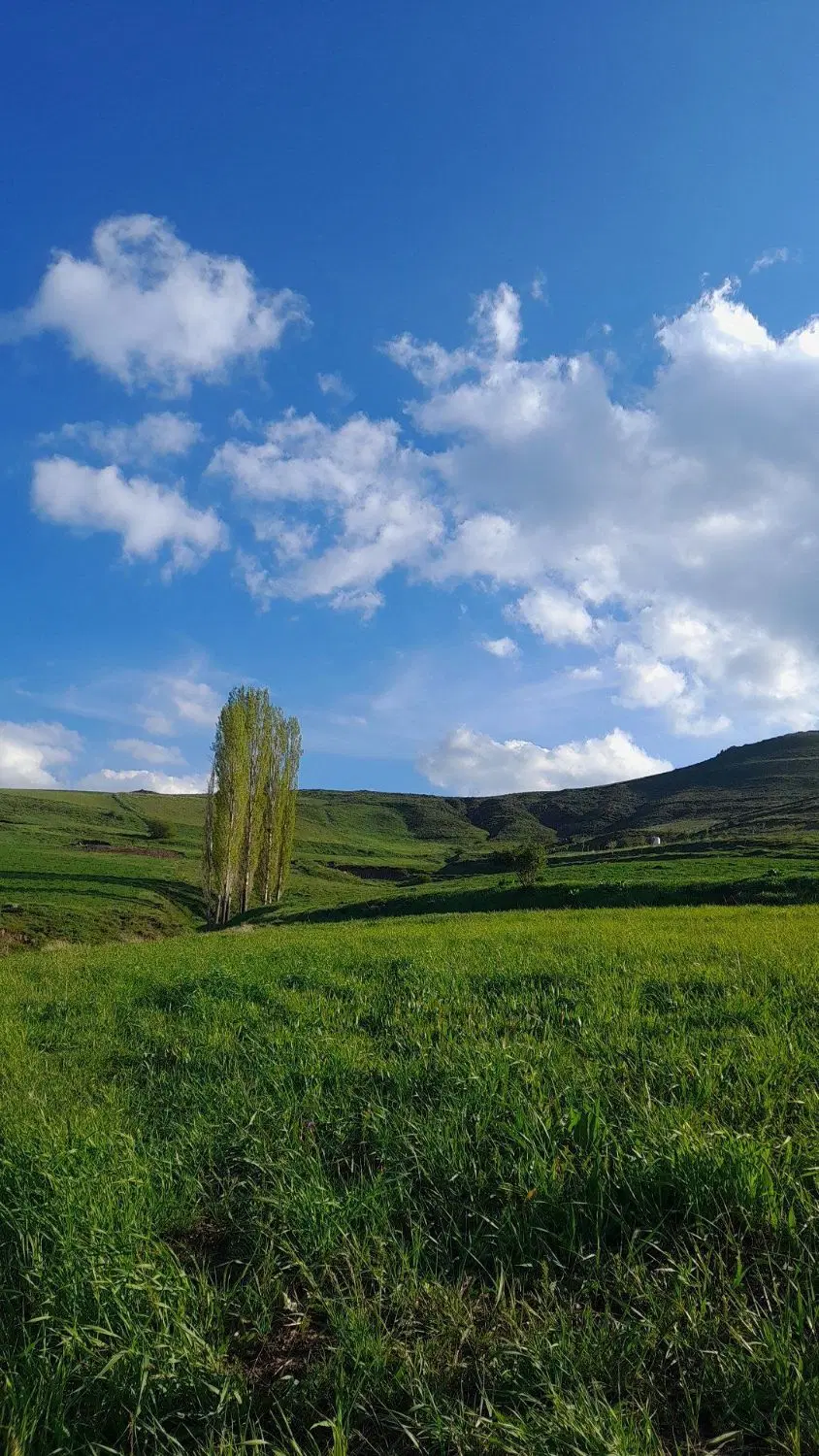 زمین زراعی