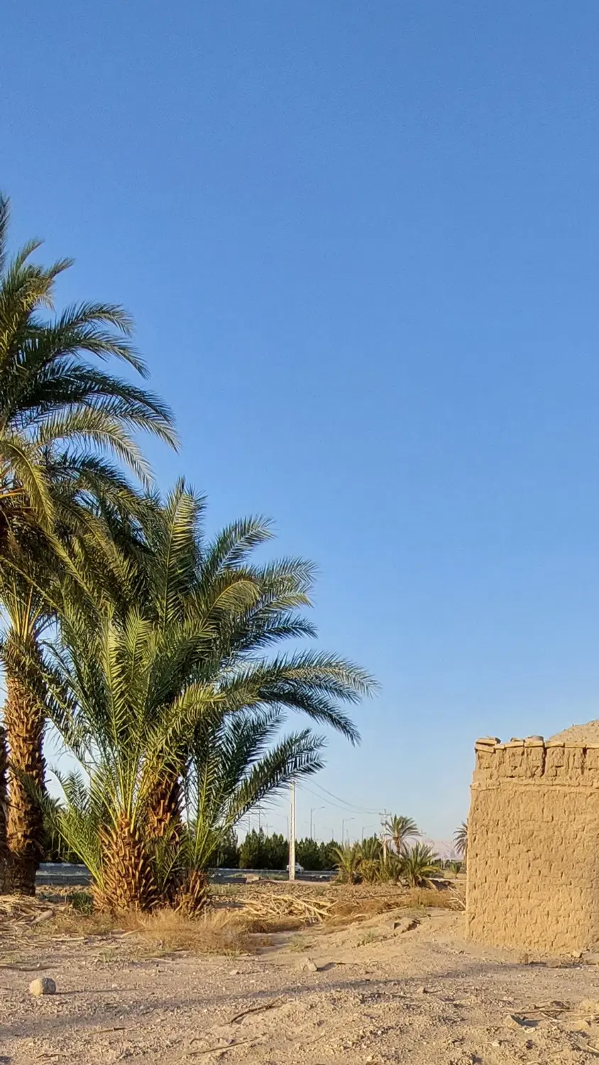 زمین