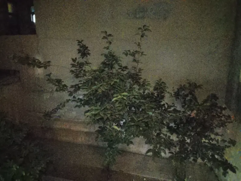 اجاره منزل مسکونی