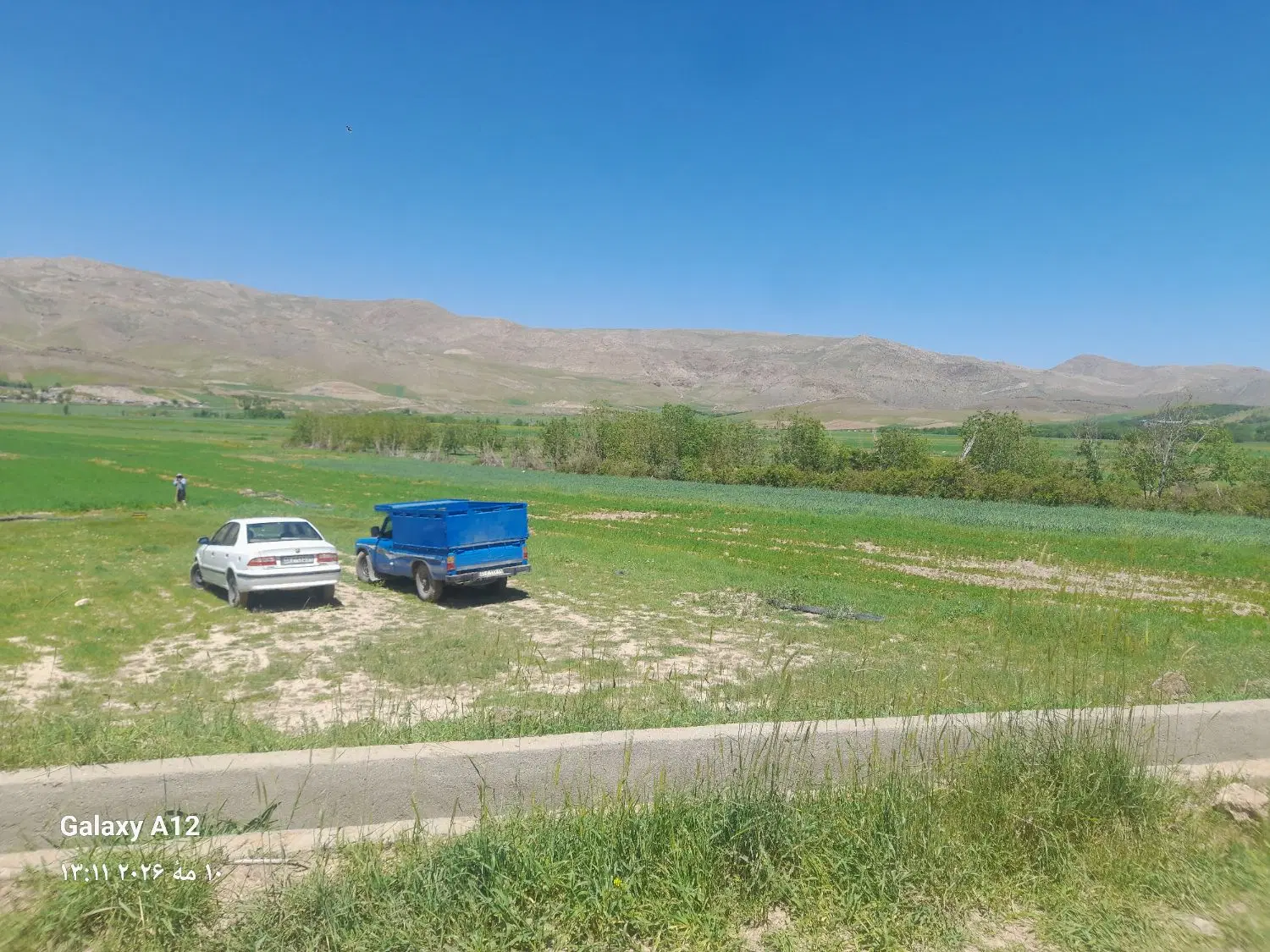 باغ گروس علیا