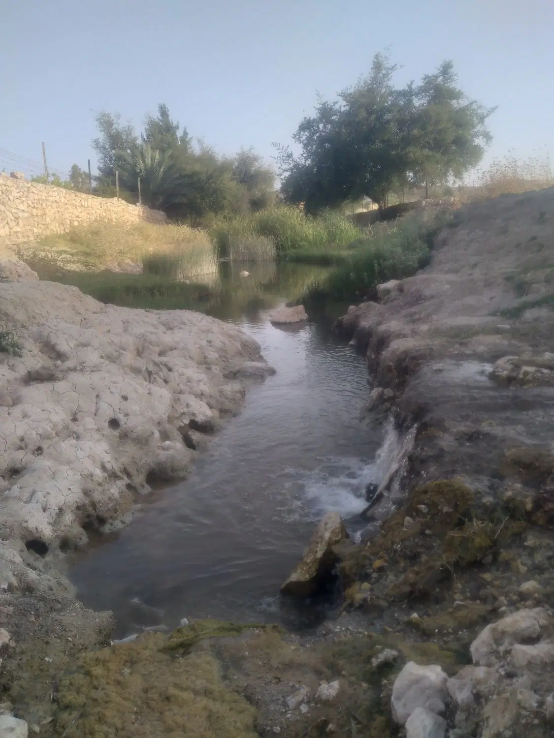 زمین مسکونی در سراب ننیز