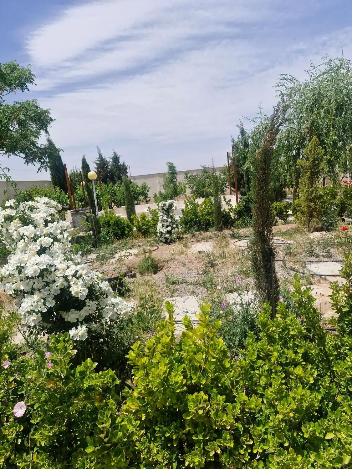 فروش ۴۰ قصب زمین
