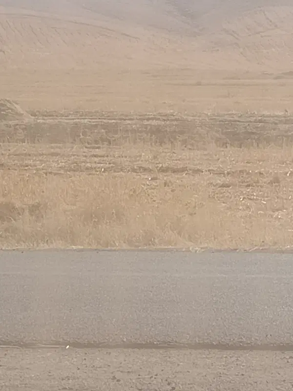 زمین مناسب باغ روستایی قوره‌جیل