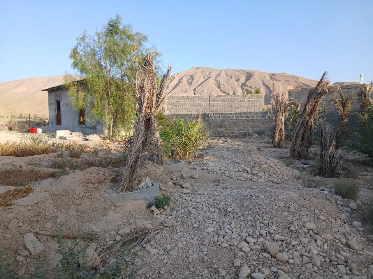 باغ شهری رفاه