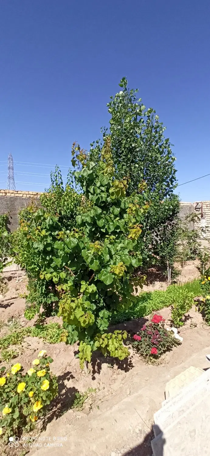 فروش خانه باغ دوطبقه