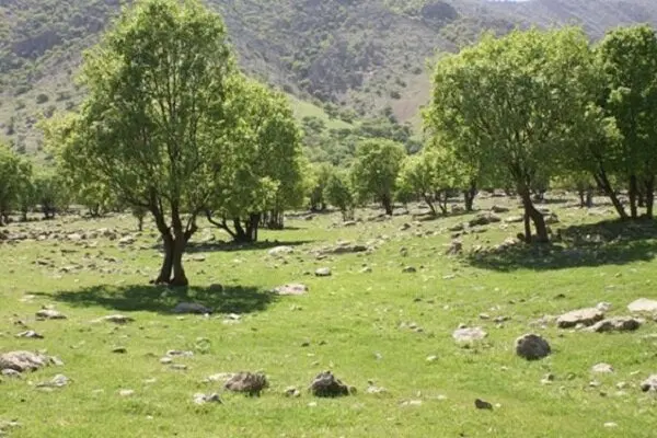 فروش زمین کلدوزخ ۲