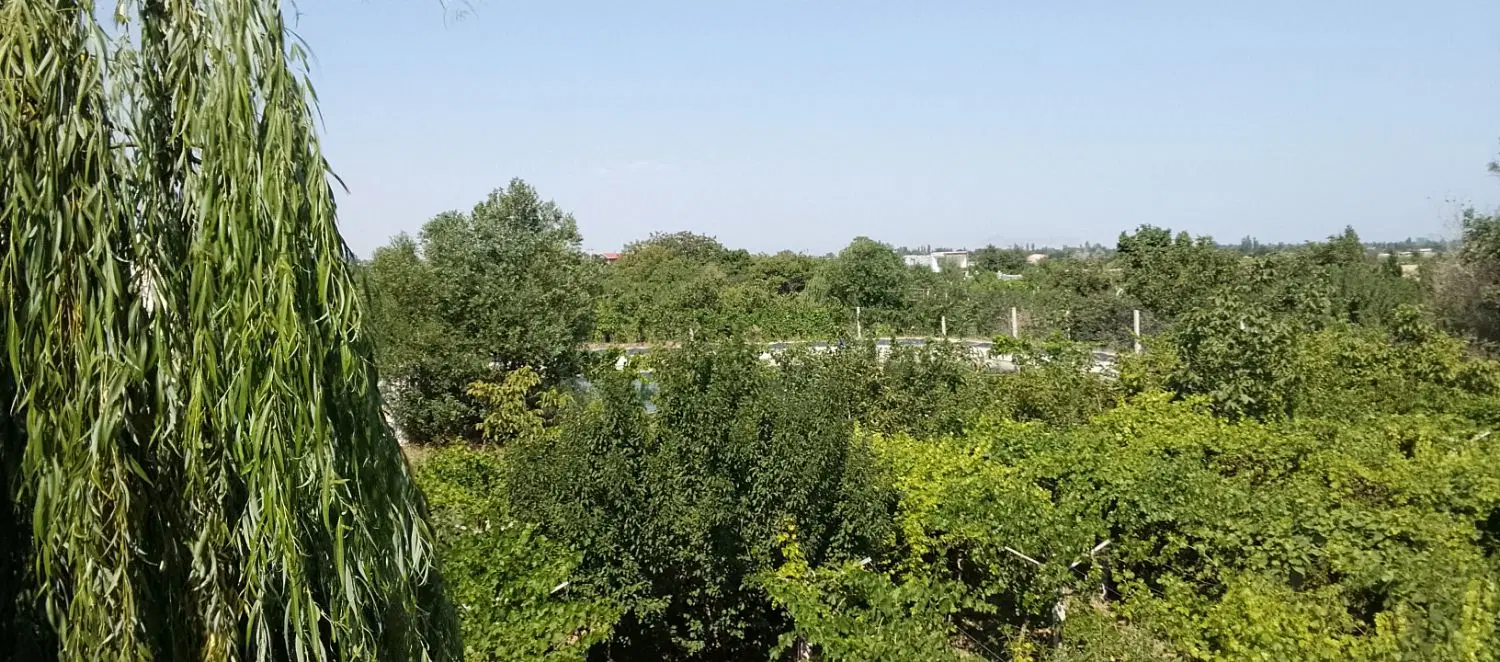 فروش باغچه کشاورزی