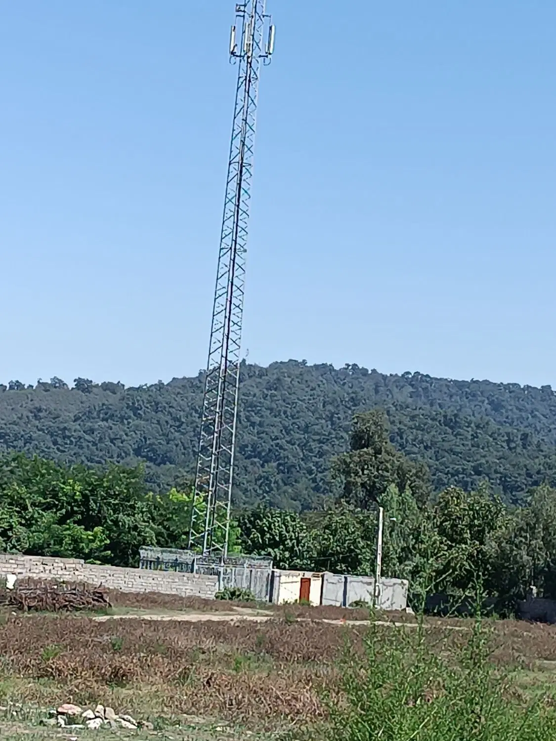 زمین