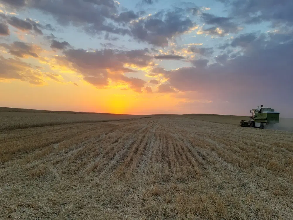 ۷۵ هکتار زمین کشاورزی دیم