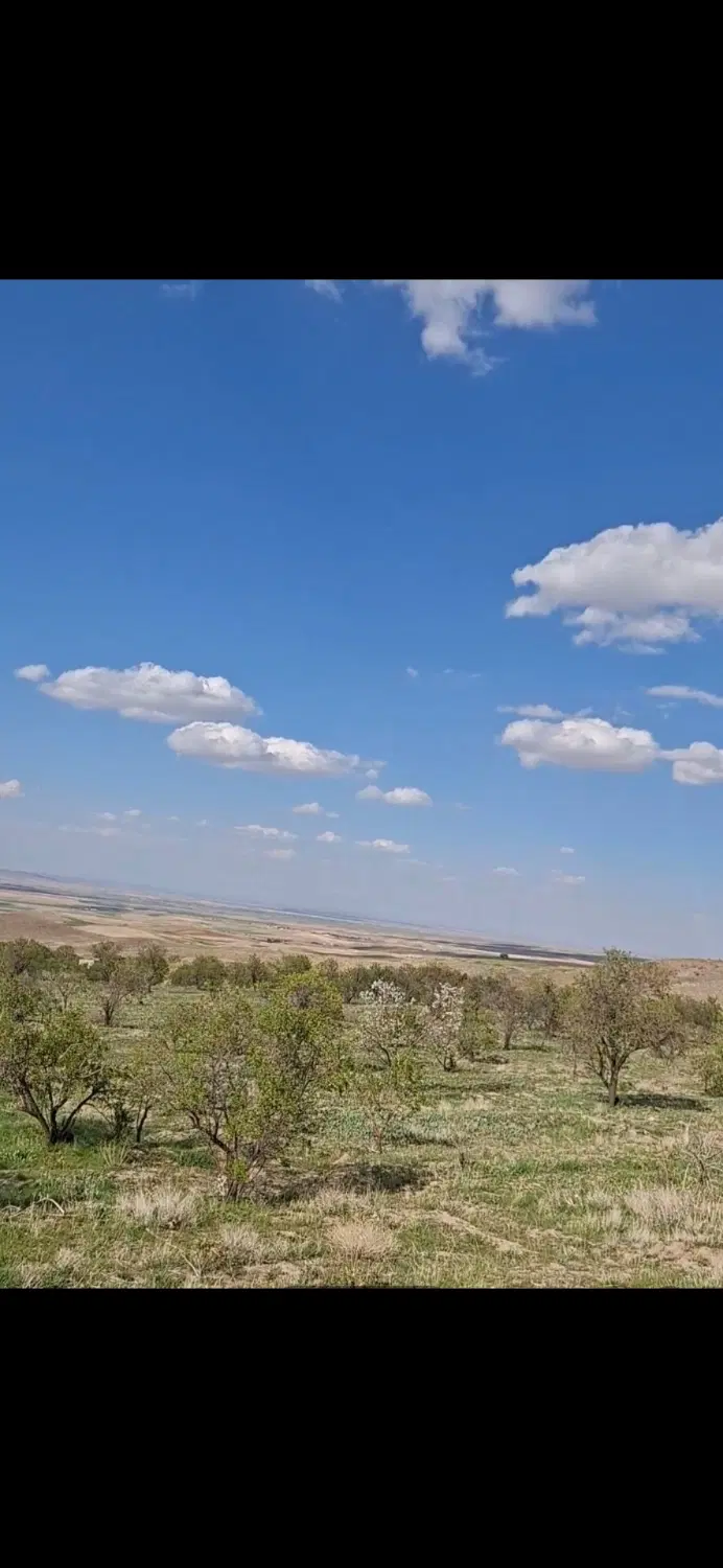 باغچه ۶۰۰ متری