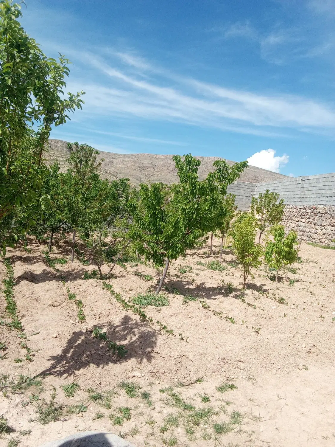 خانه ویلای