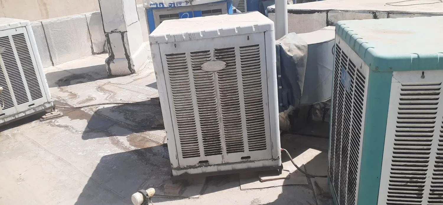ملک نانوایی