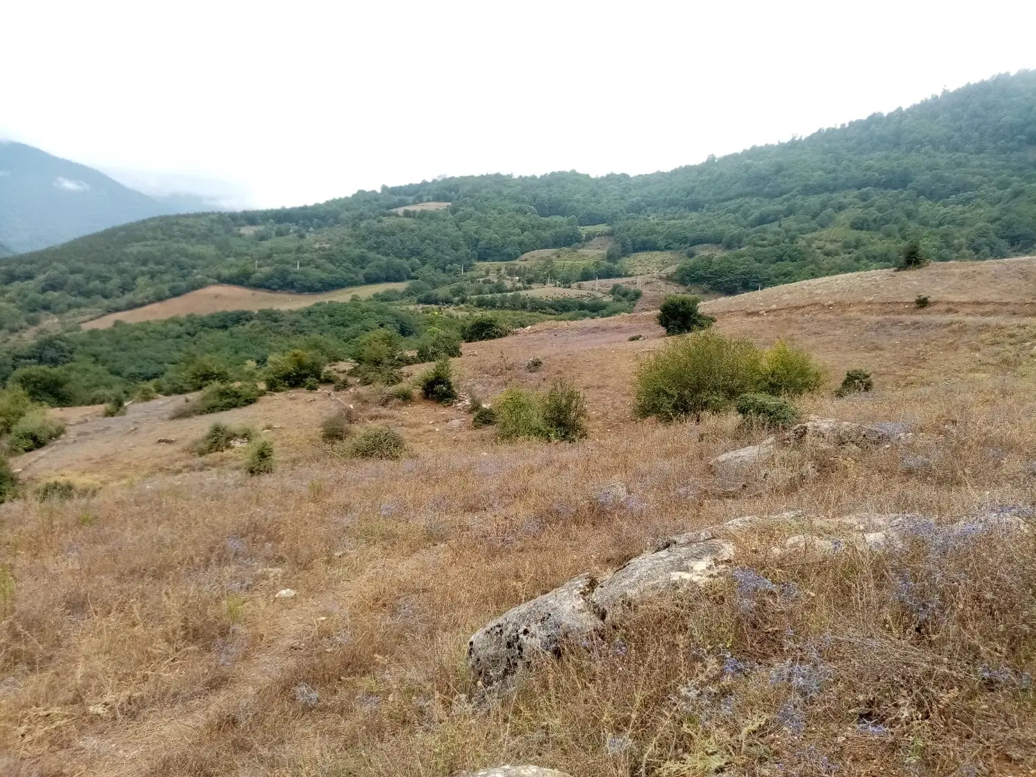 فروش 1570 زمین استثنایی برای سرمایه گذاری