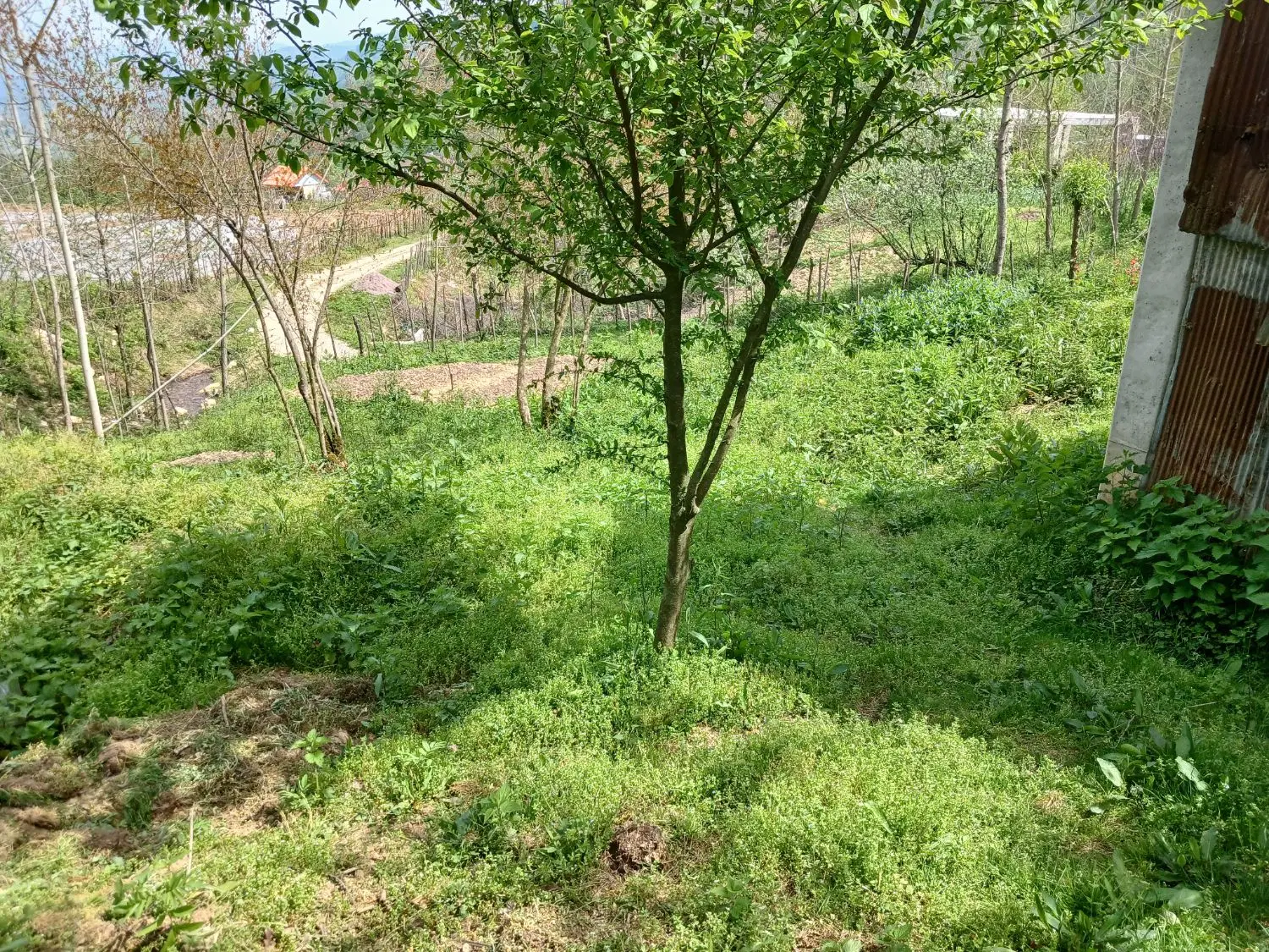 خانه نیمه ساخت با زمین