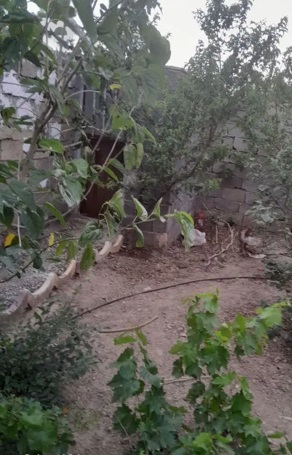 زمین کشاورزی