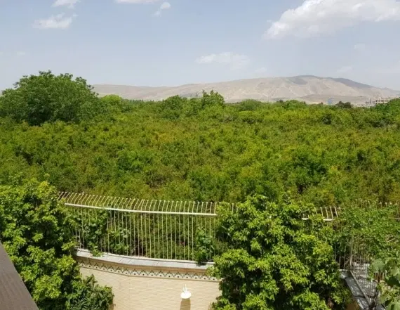 کلنگی ۴۵۰ متری__ بهترین لوکیشن همت شمالی