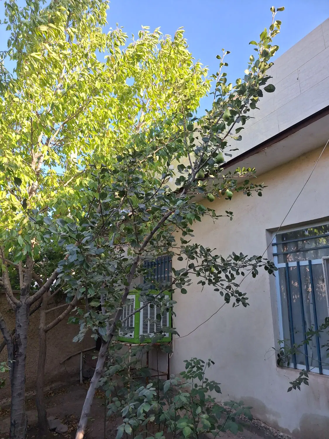 خانه باغ با موقعیت تجاری