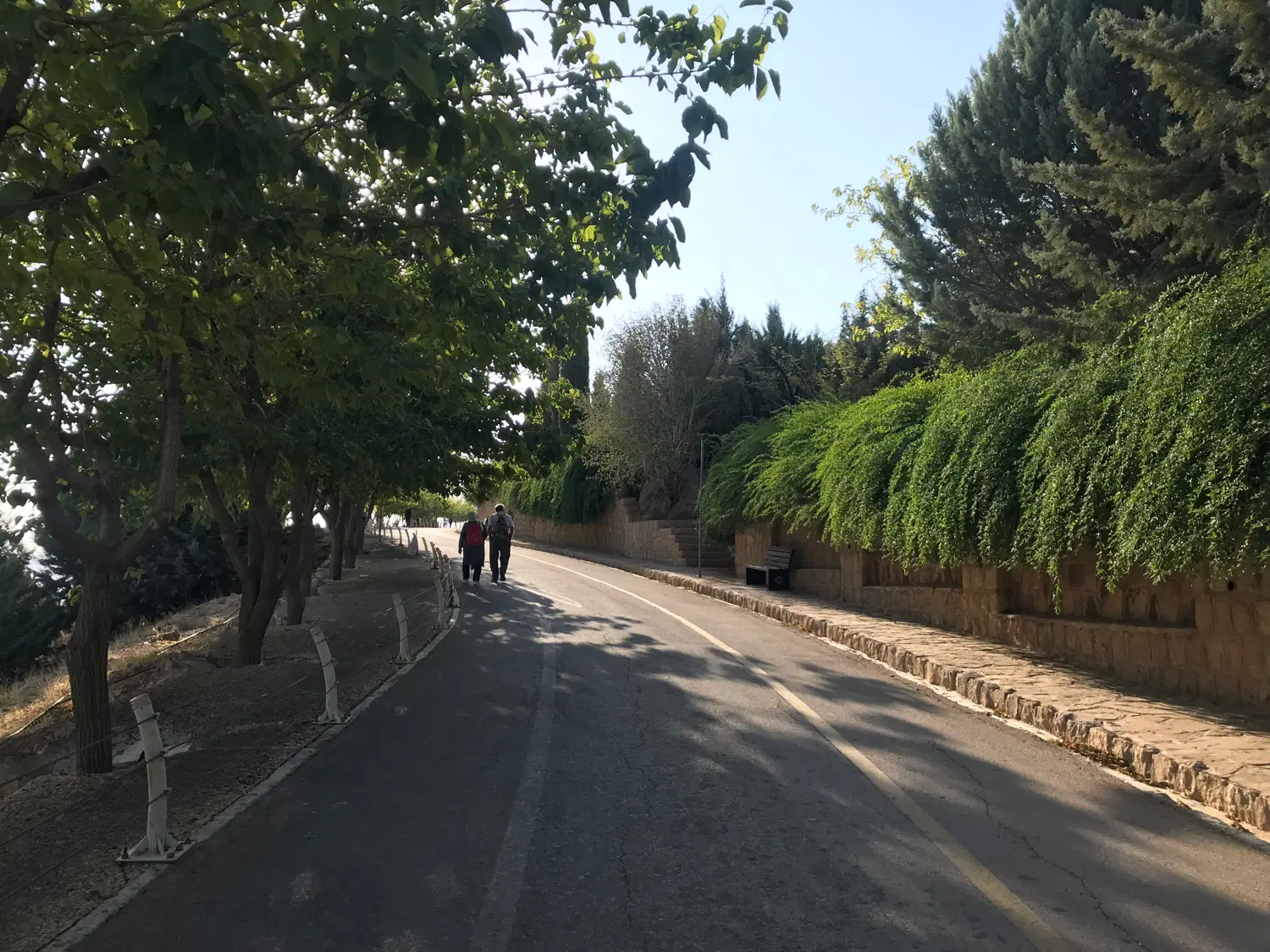 ۲۵۰ متر کلنگی دلالی با کاربری تجاری بر علامه امینی